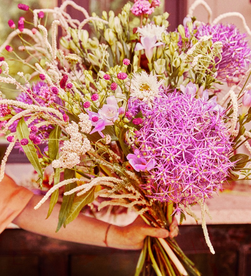 foto Allium