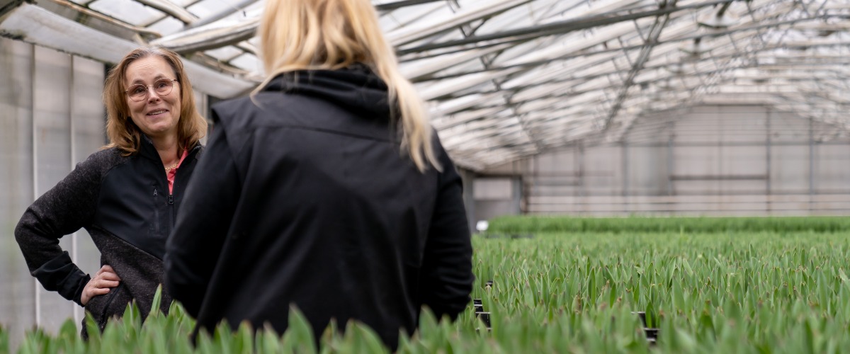 photo two surrounded by tulips