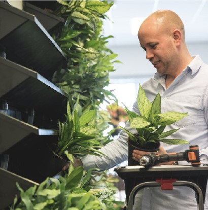 Living Wall