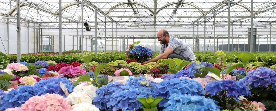 Planthunter Ed